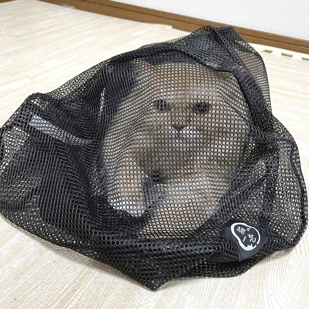 おちつくネット