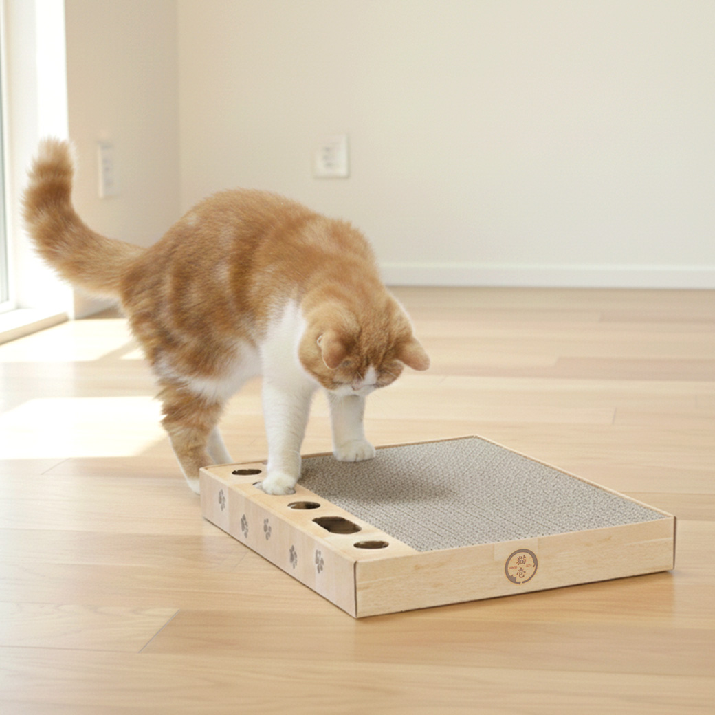 バリバリパッド コロコロボール