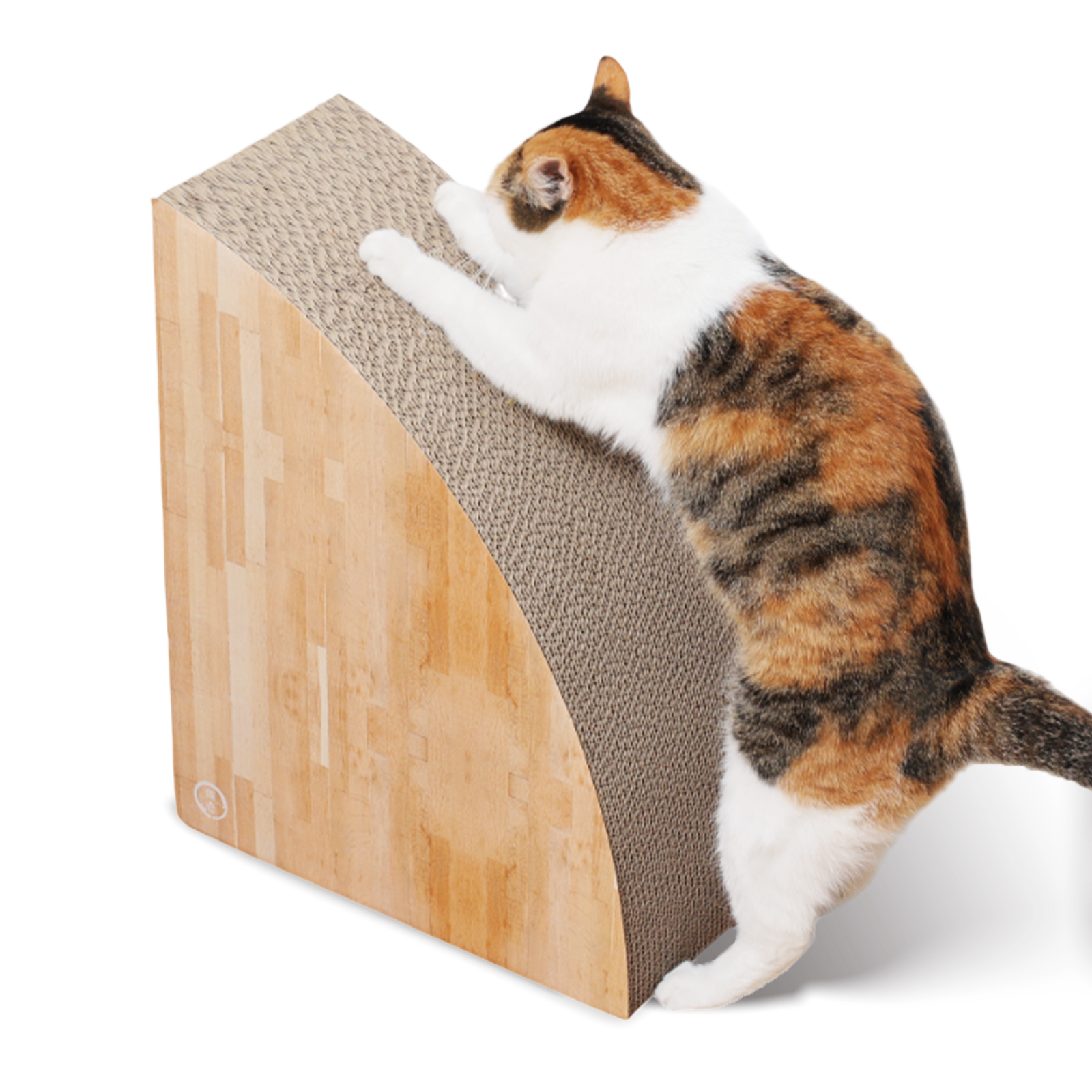 バリバリすみっこ