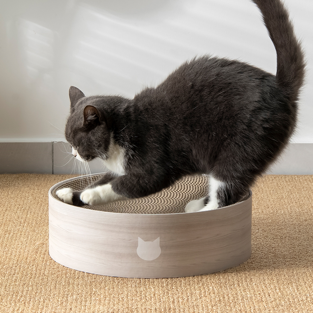 バリバリボウル 交換用つめとぎ 2個パック