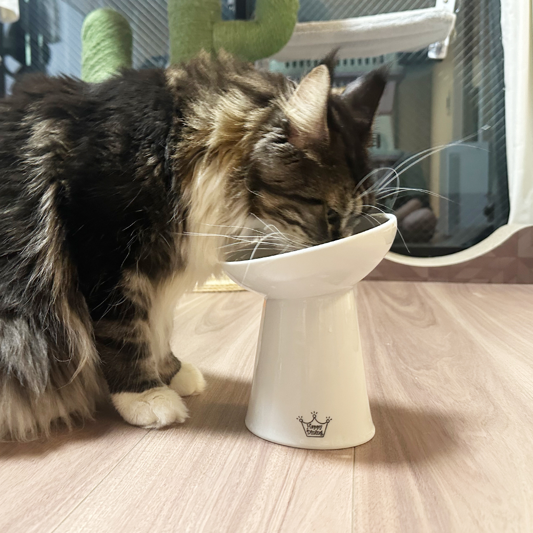 脚付フードボウルにゃにゃめ トール