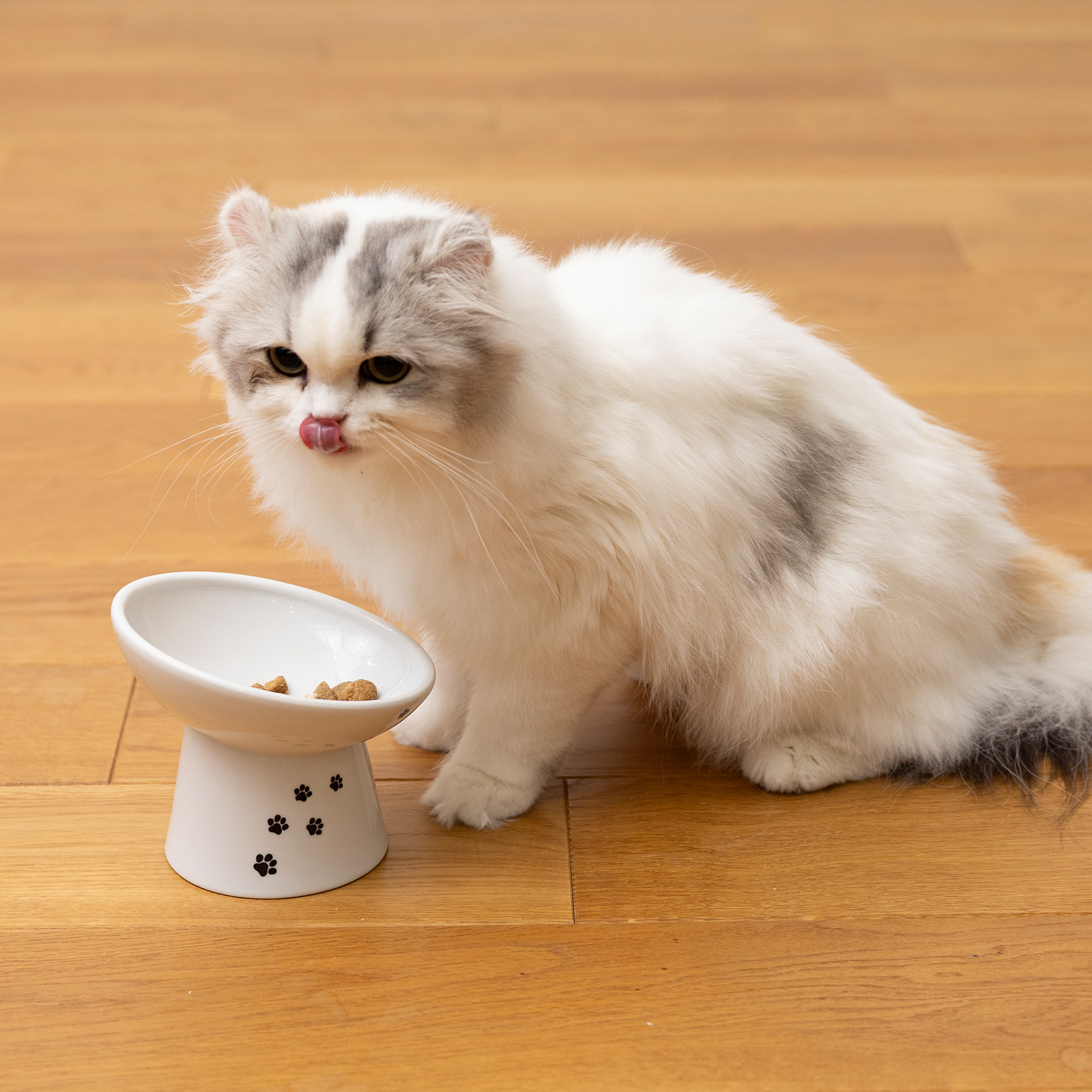 脚付フードボウルにゃにゃめR｜猫壱公式オンラインストア