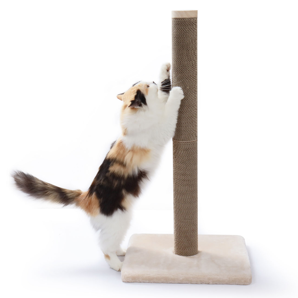 バリバリつめとぎポール L 交換用 2本セット