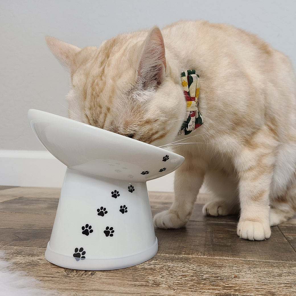脚付フードボウルにゃにゃめ ハイタイプ
