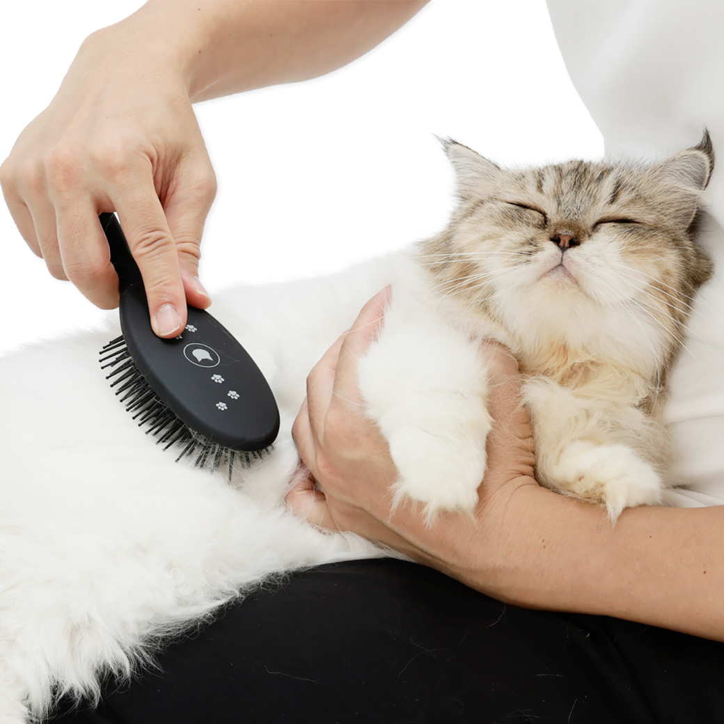 ブラシを嫌がる猫もとろける魔法のブラシ