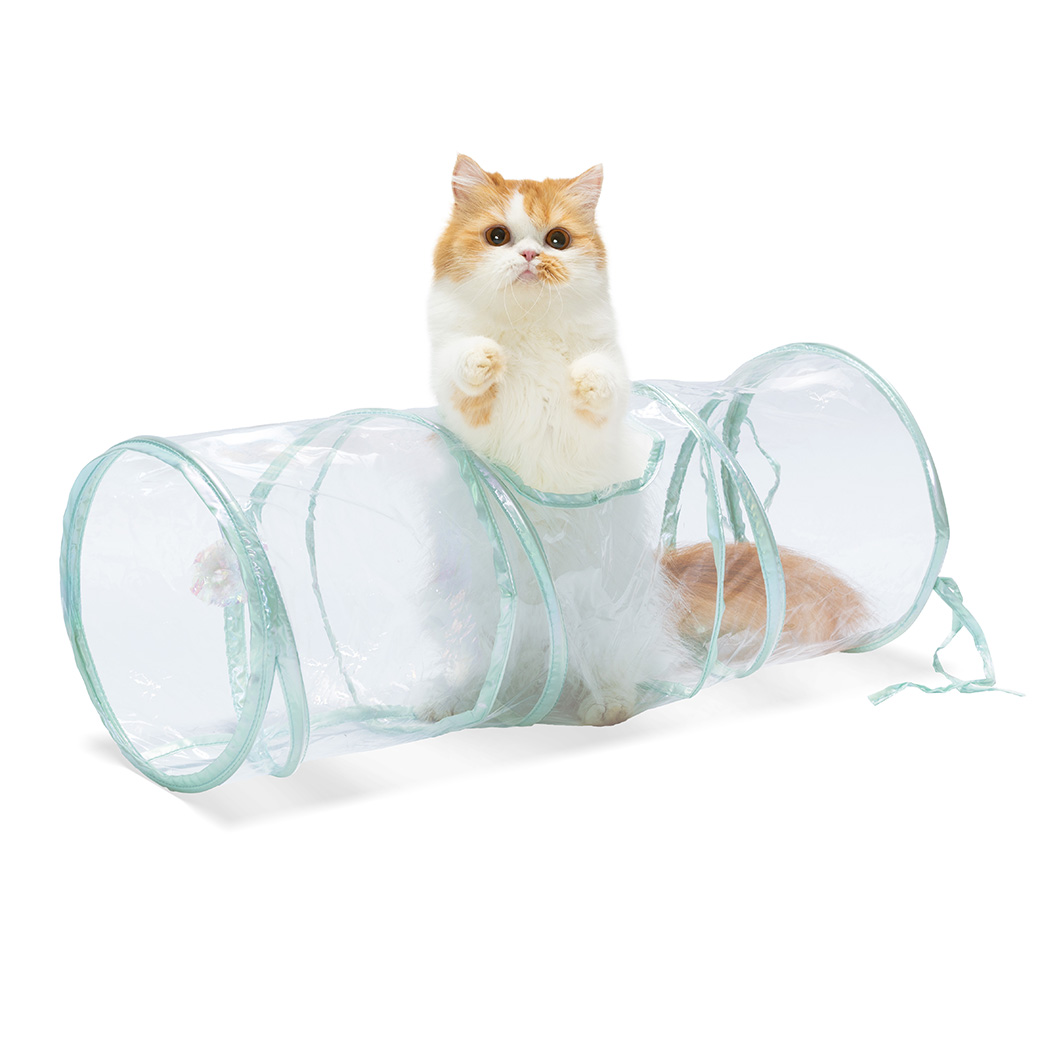 キャットトンネル クリア