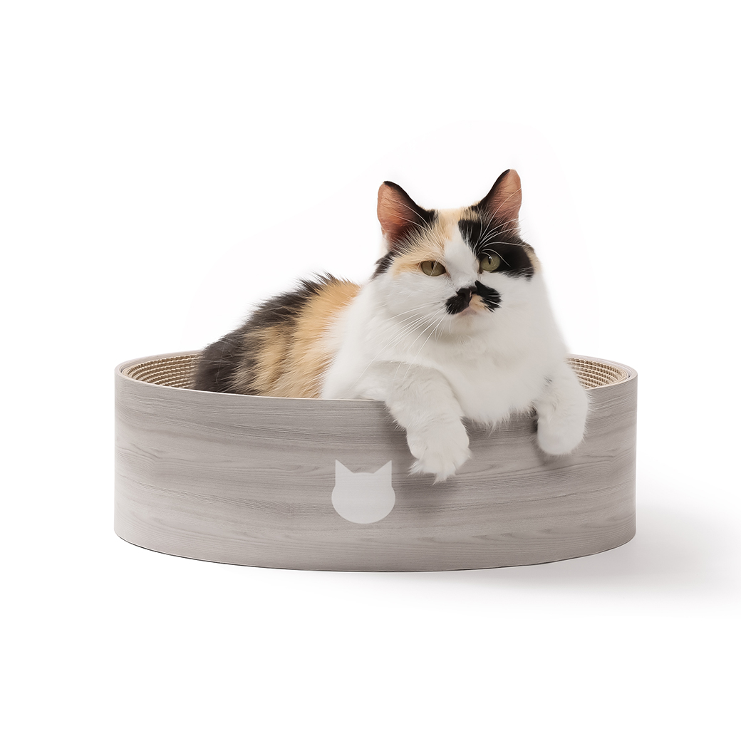 バリバリボウル