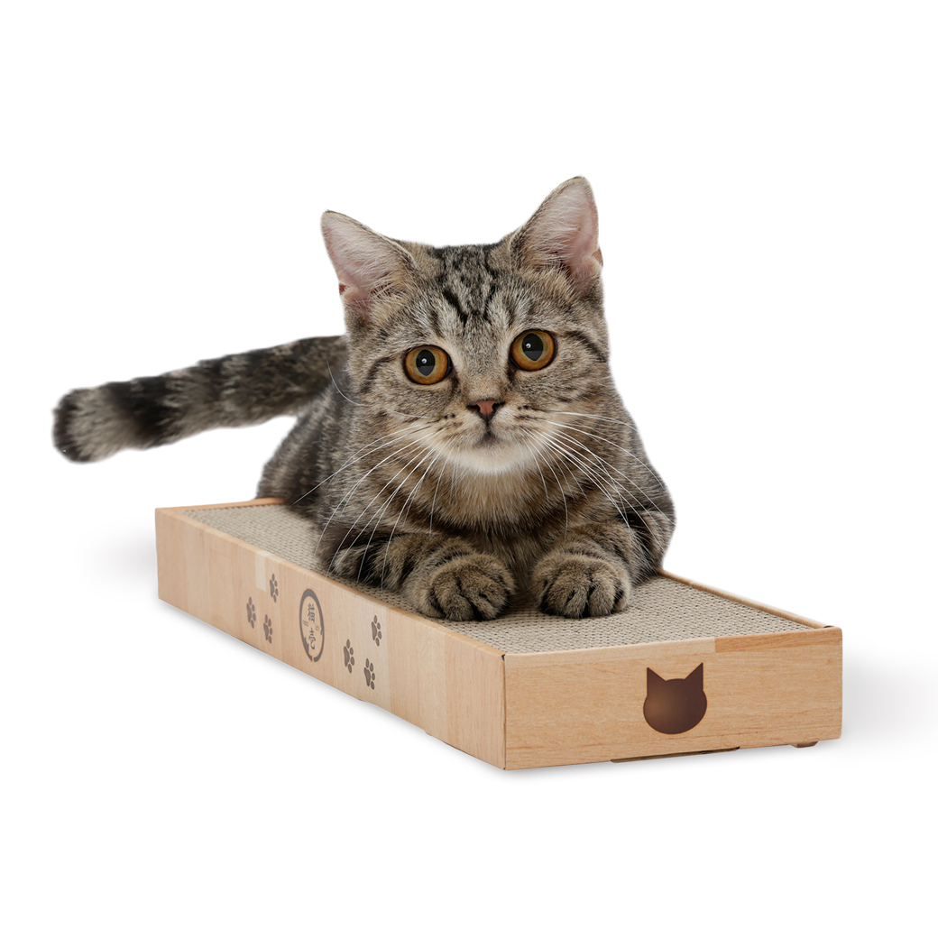 バリバリパッド スリム