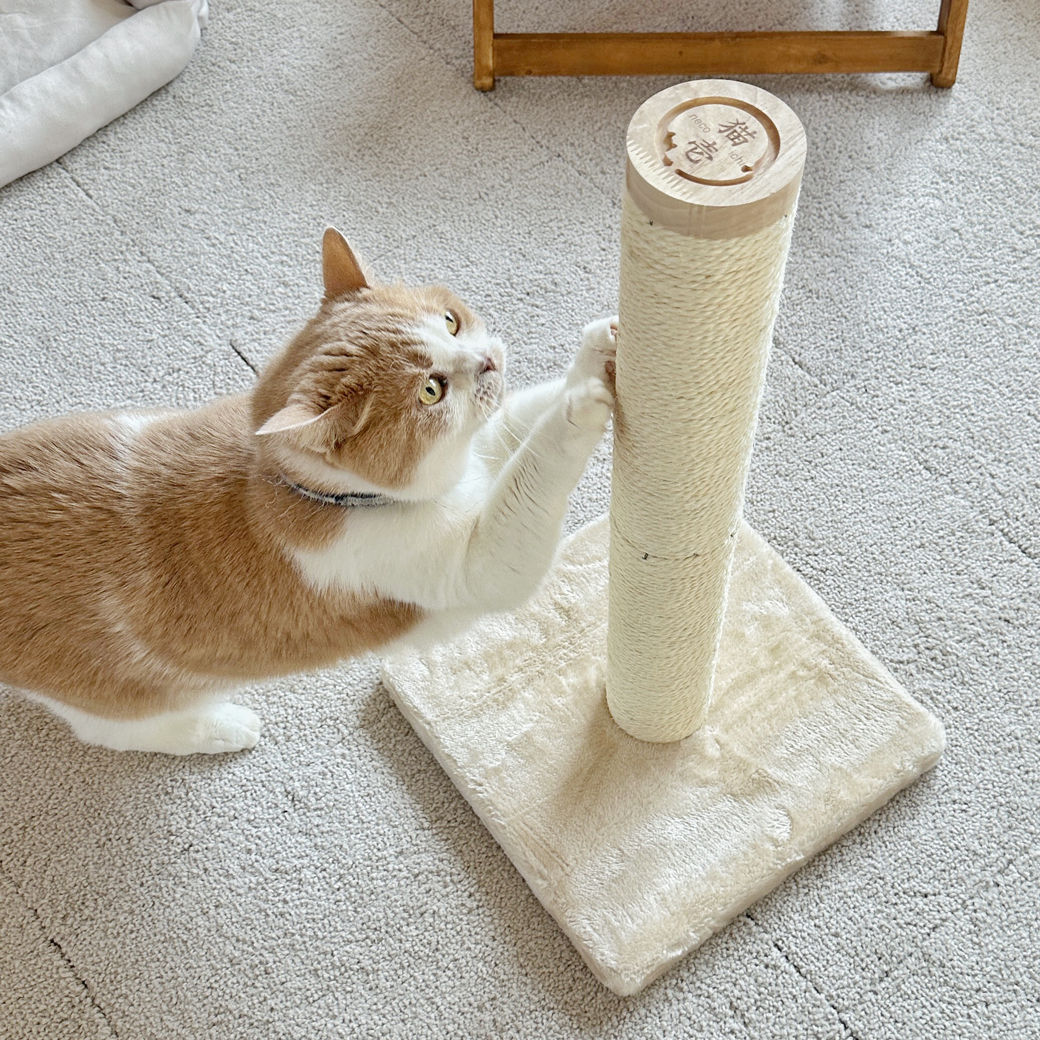 バリバリつめとぎポール 交換用 2本セット