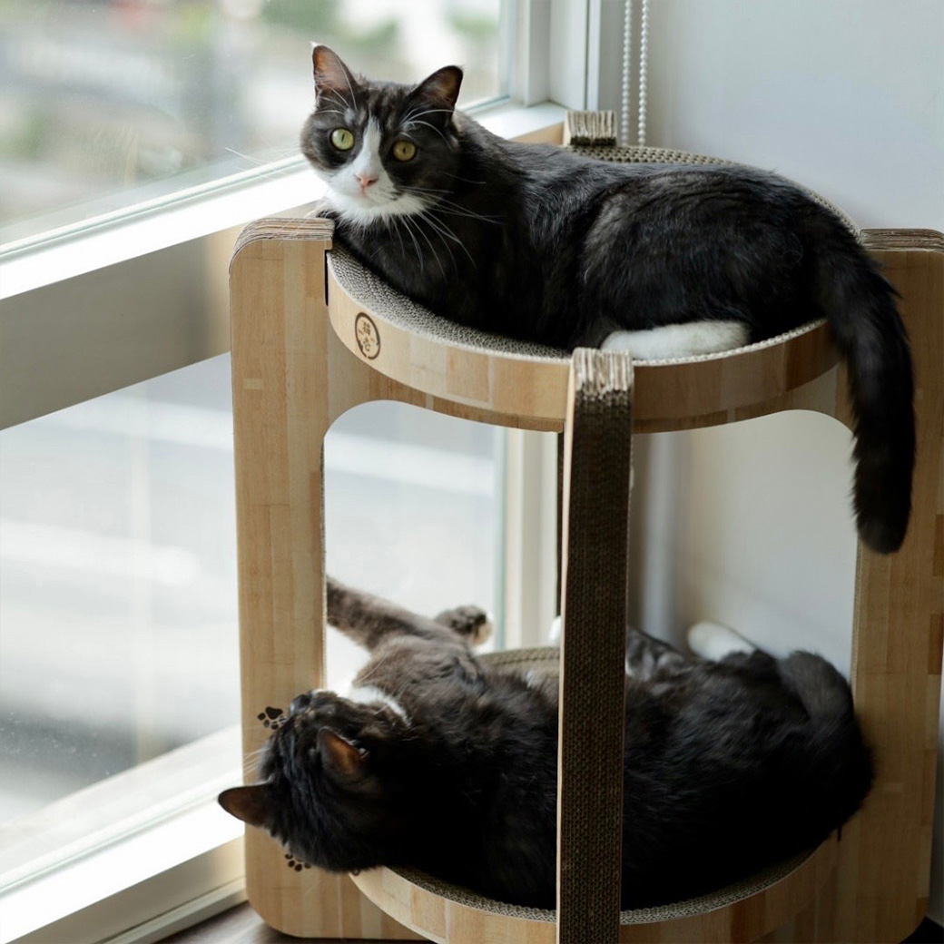 バリバリボウルタワー交換用つめとぎ 2個パック