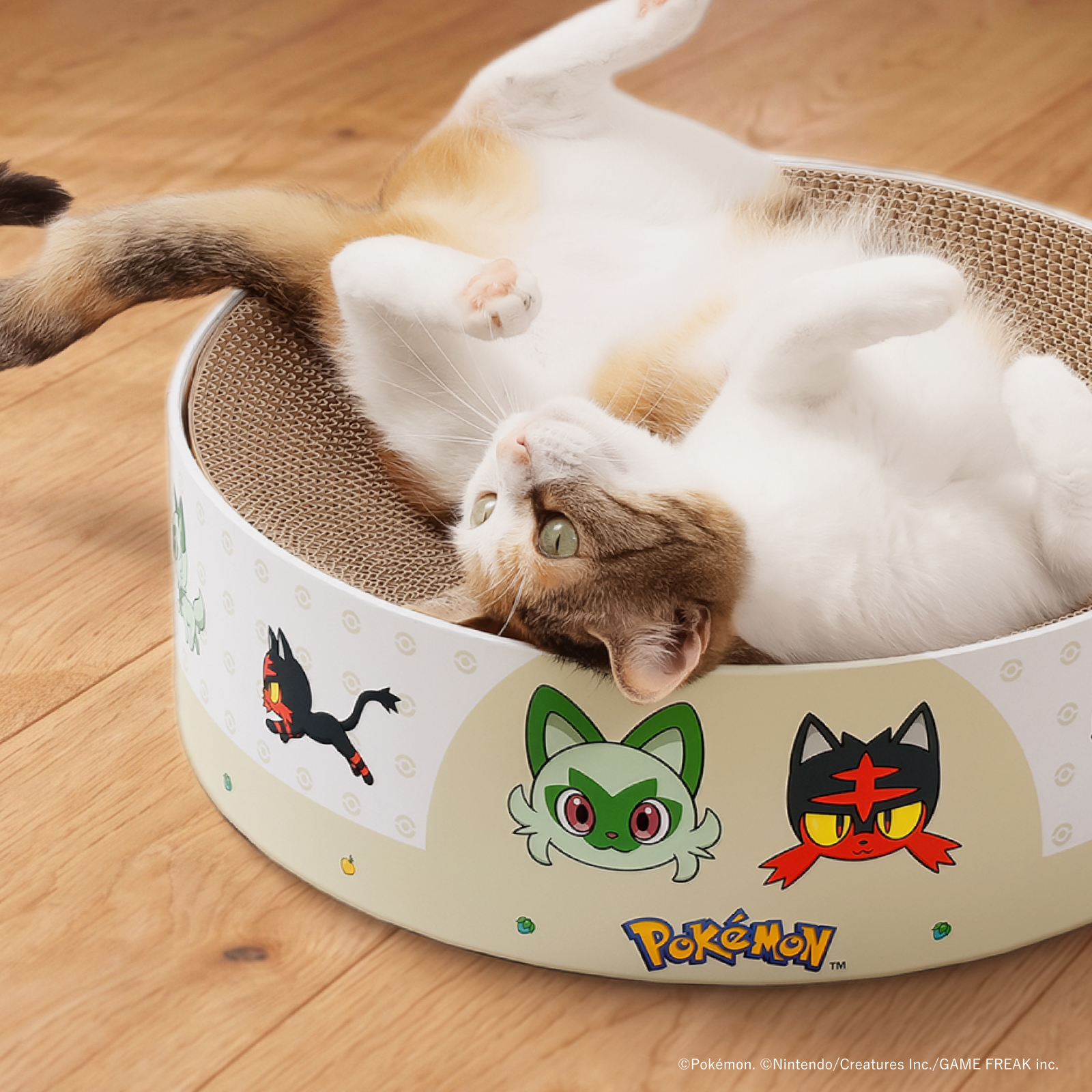 ※予約販売※【ポケモンデザイン】バリバリボウル