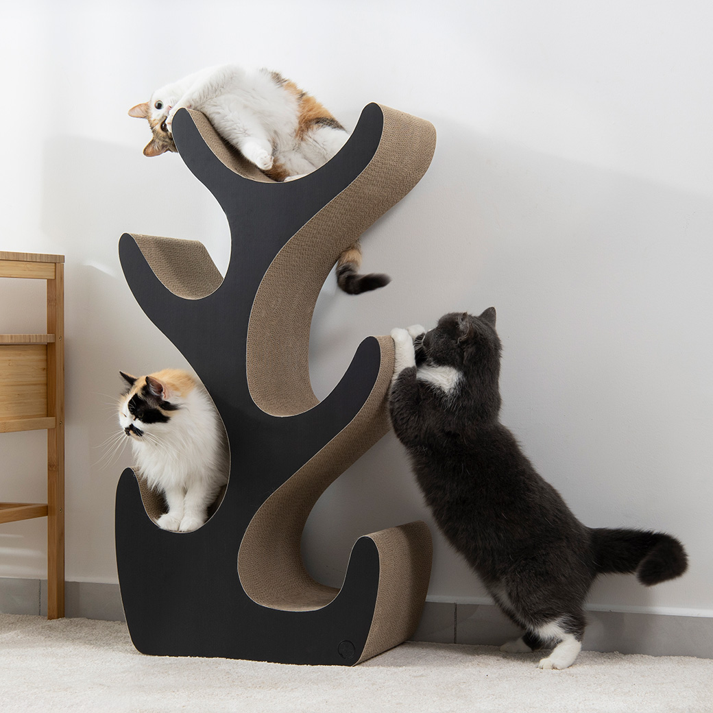 【公式限定】キャットツリー R