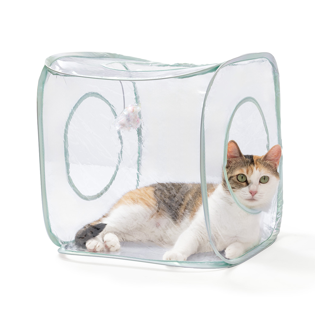 キャットプレイキューブ クリア