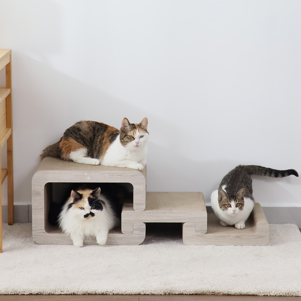 バリバリステップ