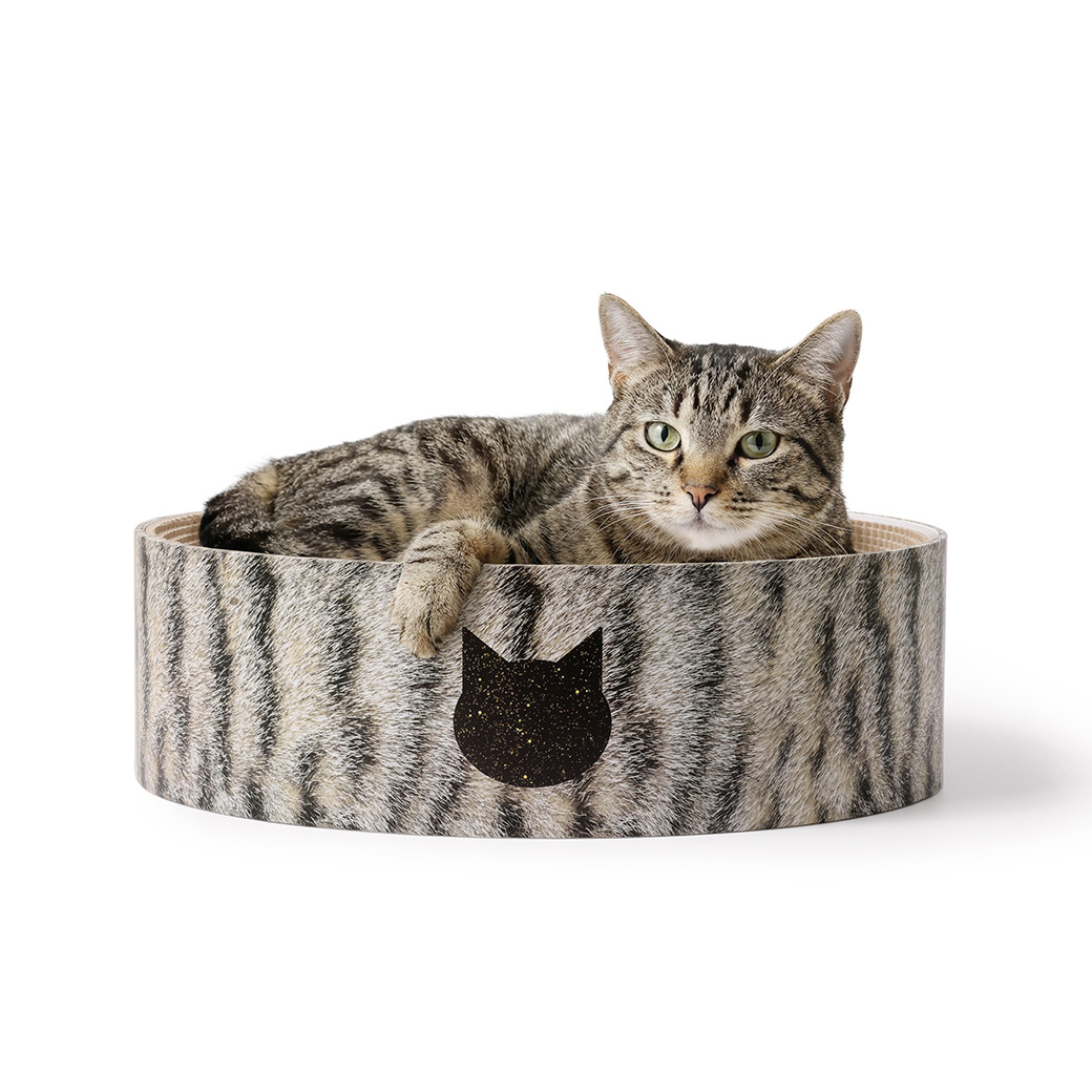 【公式限定】バリバリボウル キジトラ