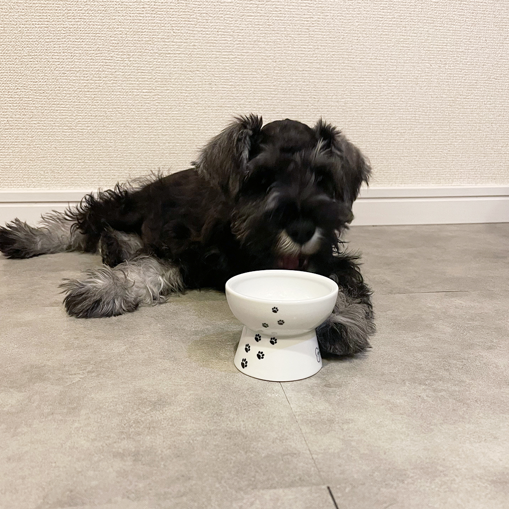 犬用 脚付フードボウル レギュラー