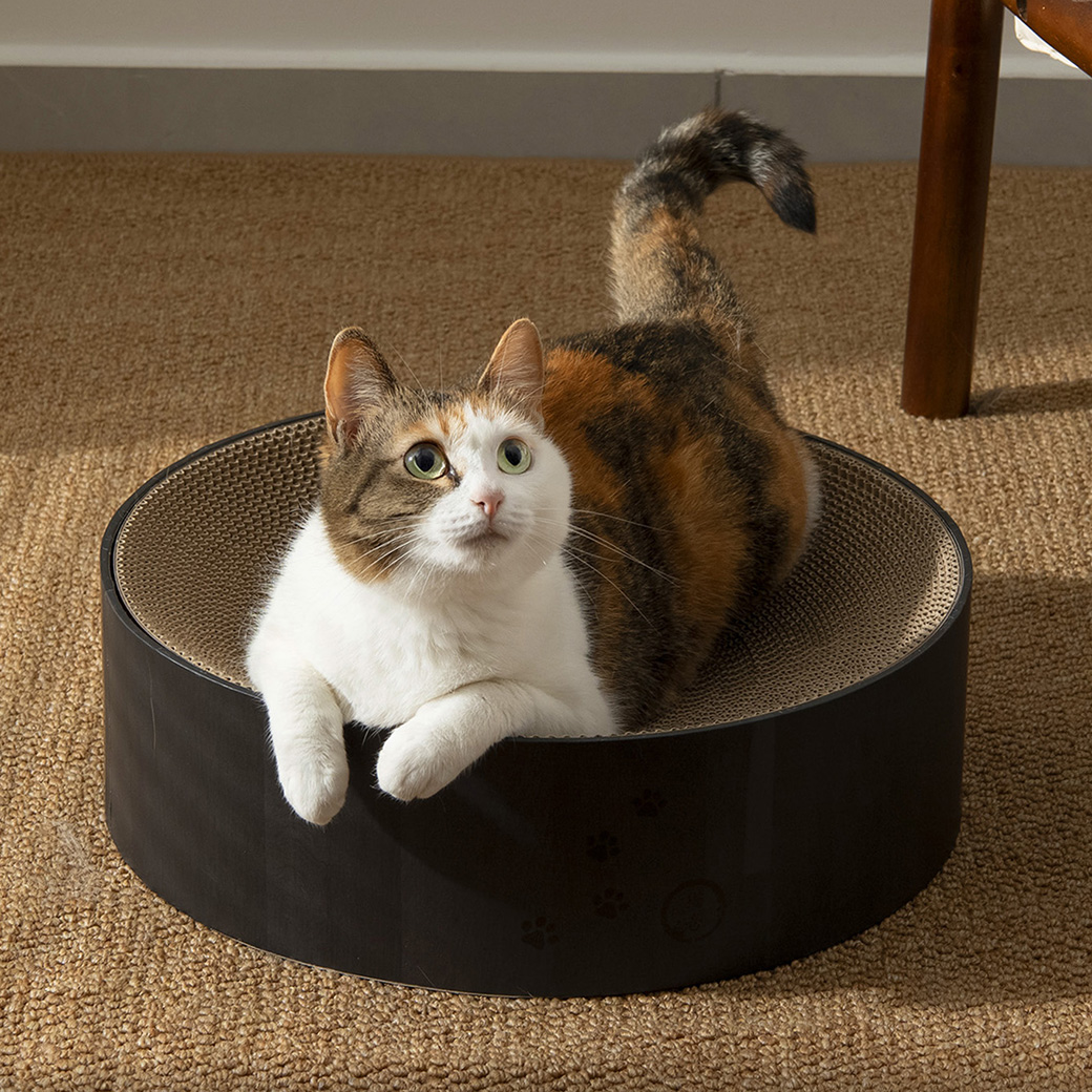 【公式限定】バリバリボウル Black