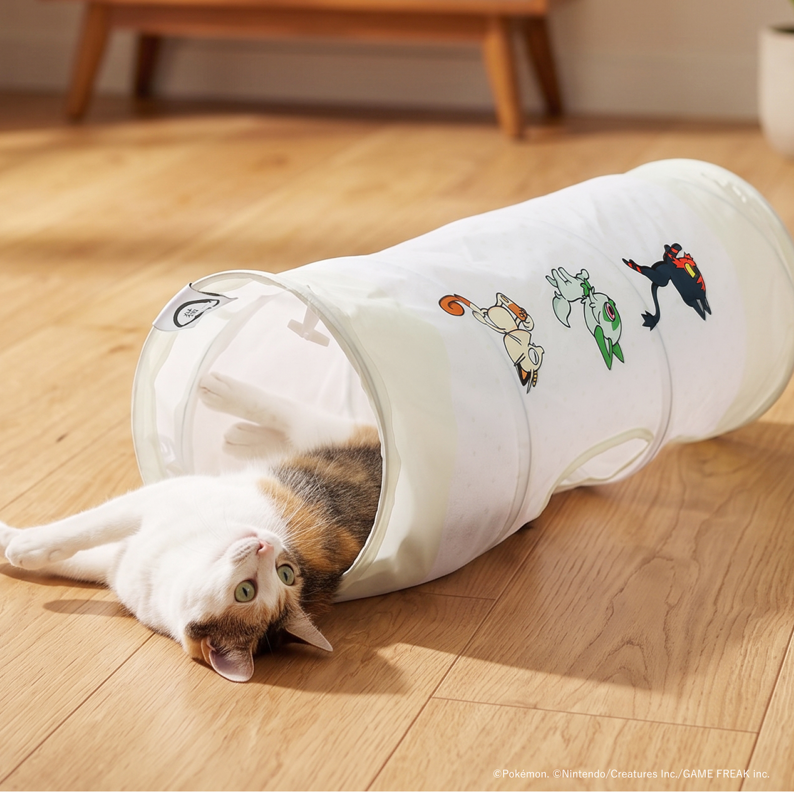 ※予約販売※【ポケモンデザイン】キャットトンネル