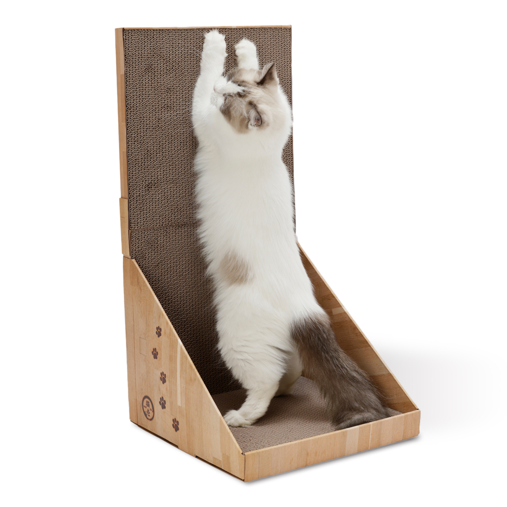 バリバリボード