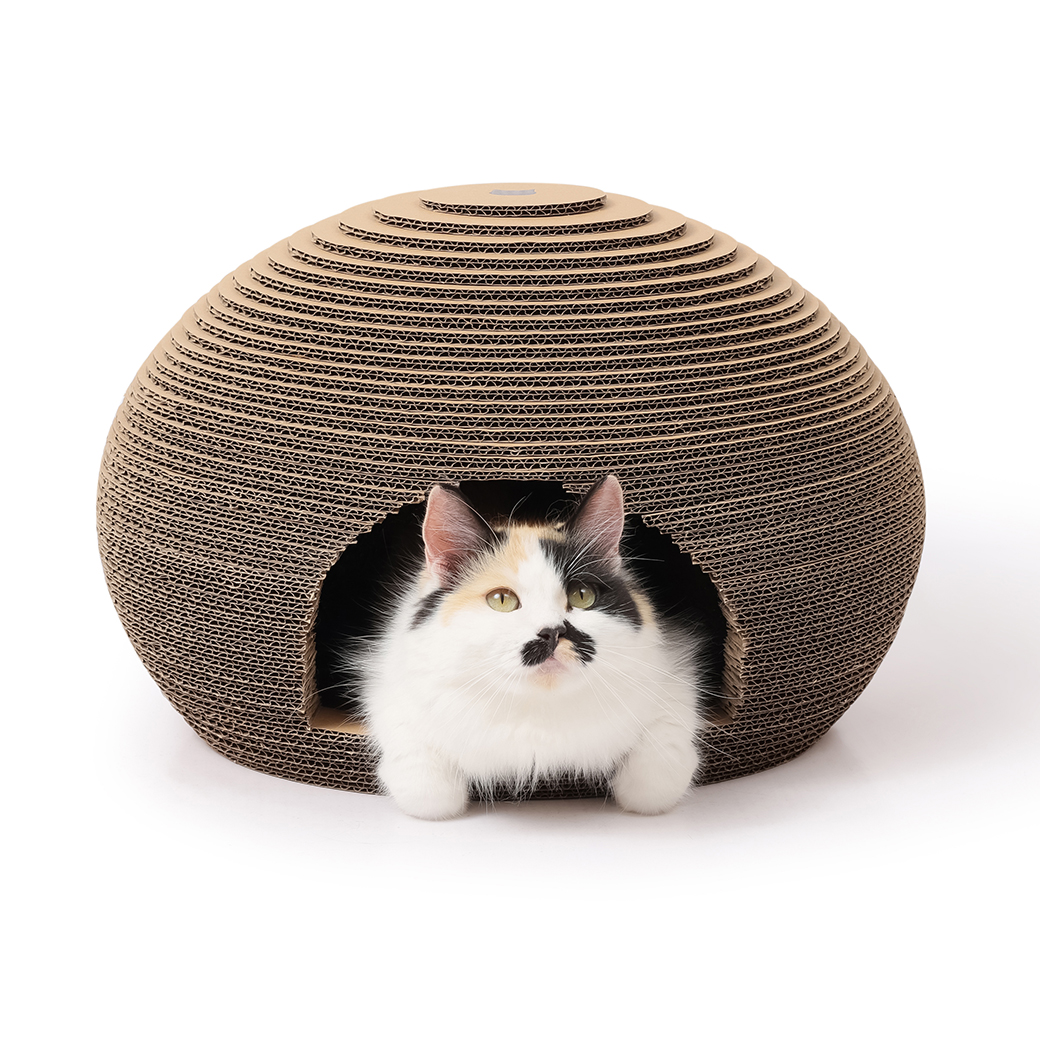 【公式限定】猫のくら