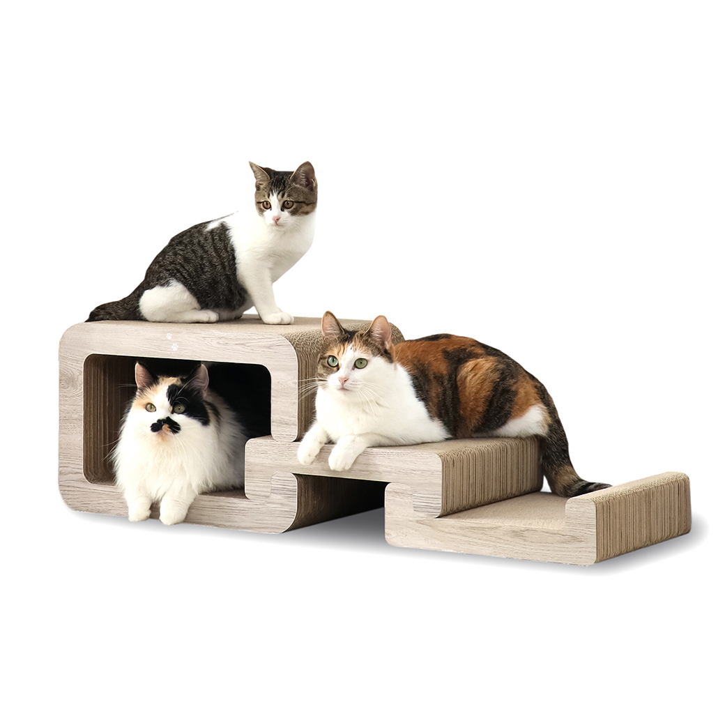 バリバリステップ