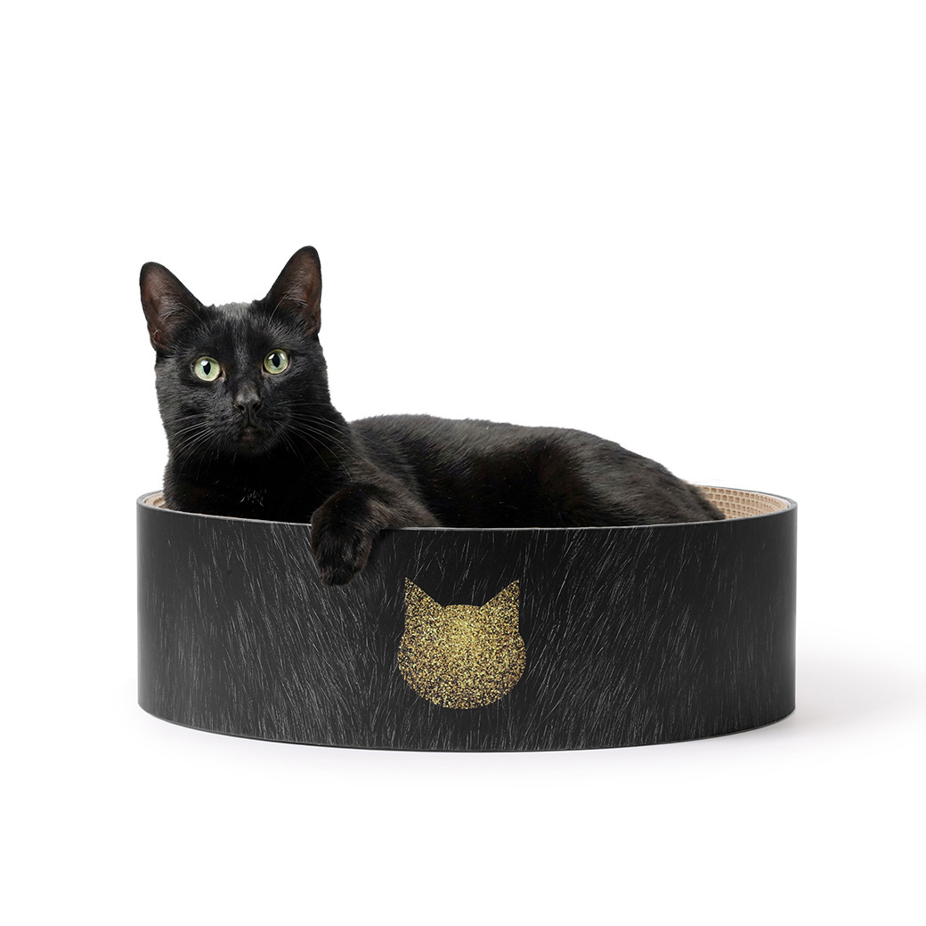 【公式限定】バリバリボウル 黒猫