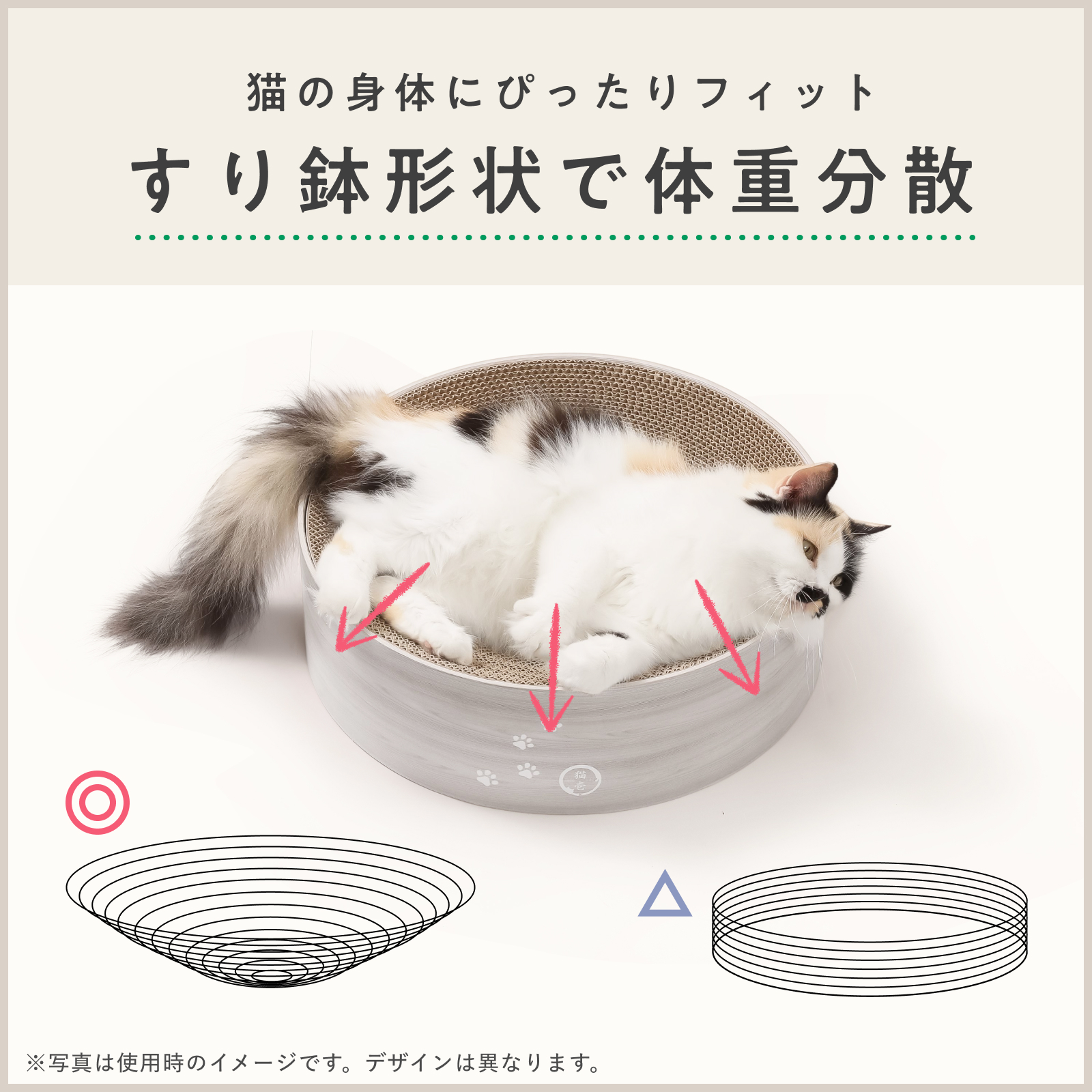 ポケモンデザイン】バリバリボウル｜猫壱公式オンラインストア