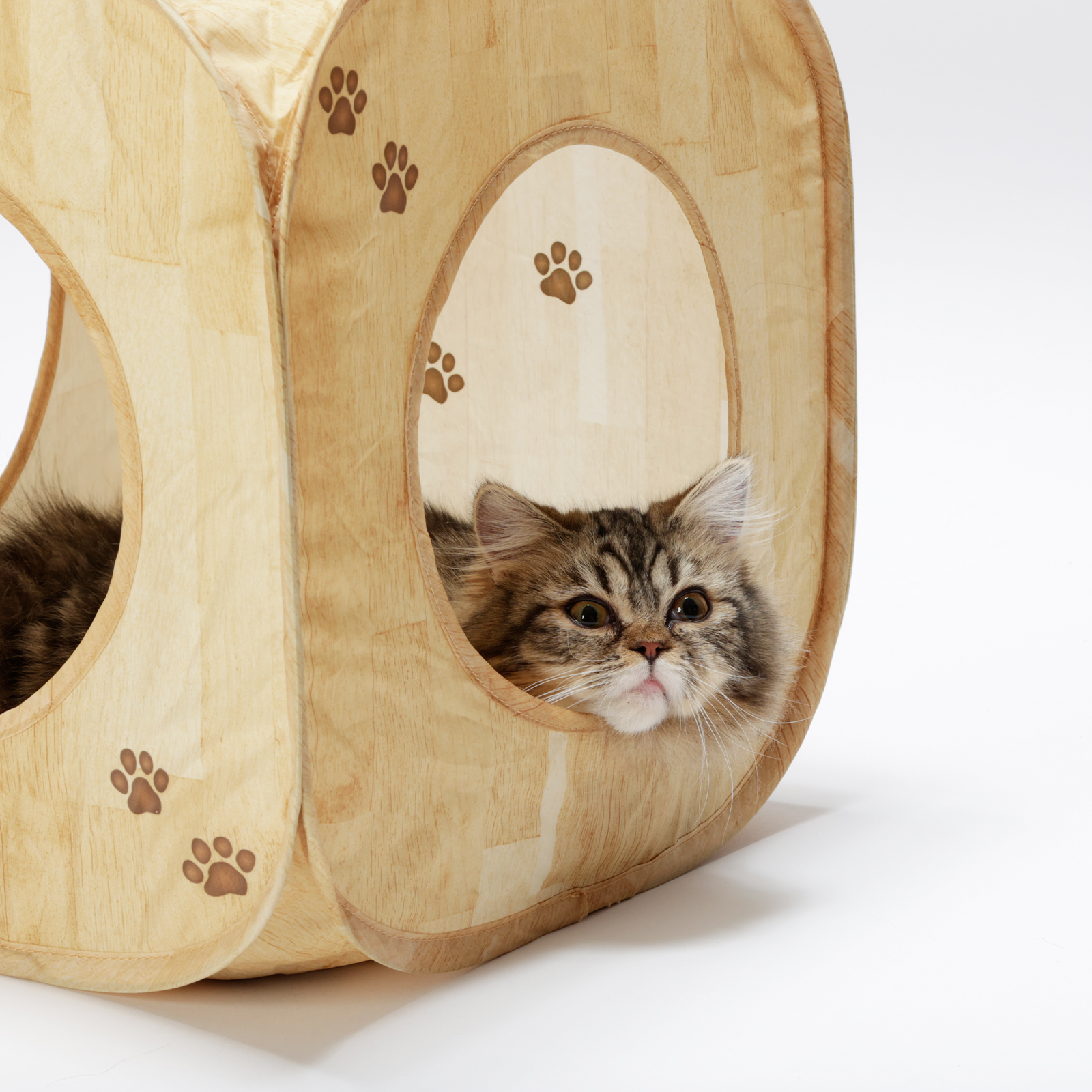 キャットプレイキューブ｜猫壱公式オンラインストア