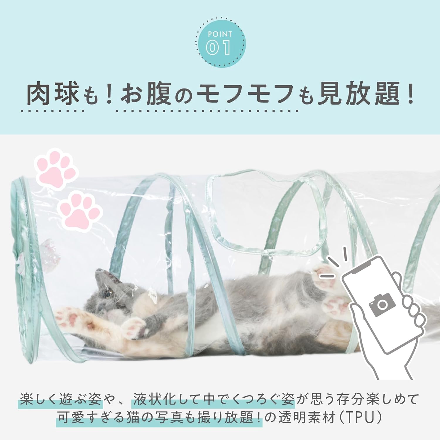 キャットトンネル クリア｜猫壱公式オンラインストア