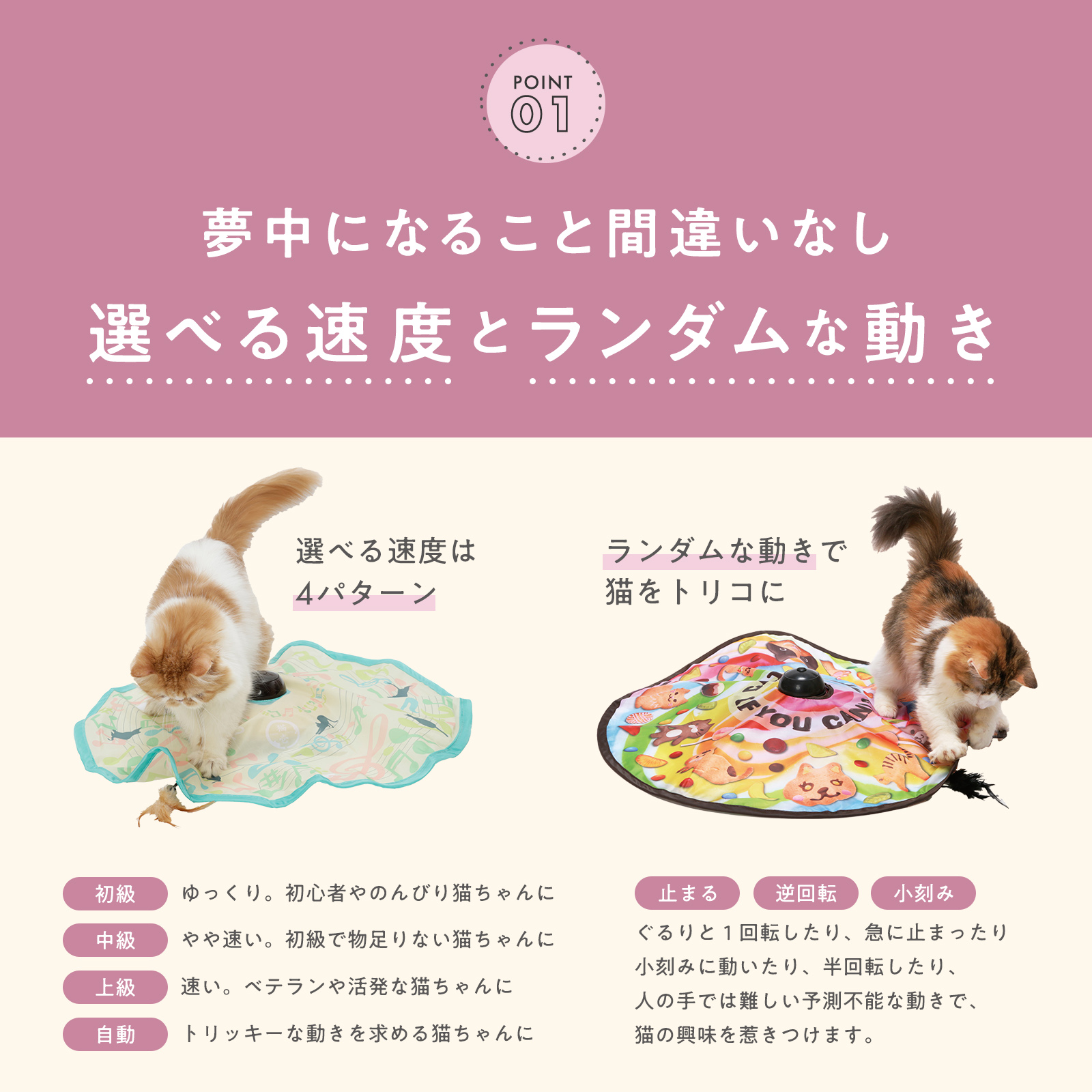 キャッチ・ミー・イフ・ユー・キャン2｜猫壱公式オンラインストア