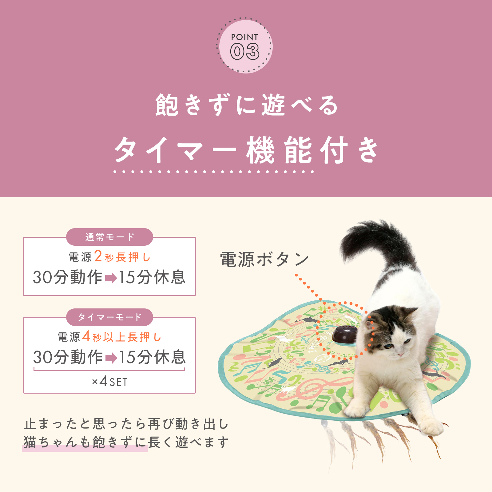 キャッチ・ミー・イフ・ユー・キャン2｜猫壱公式オンラインストア