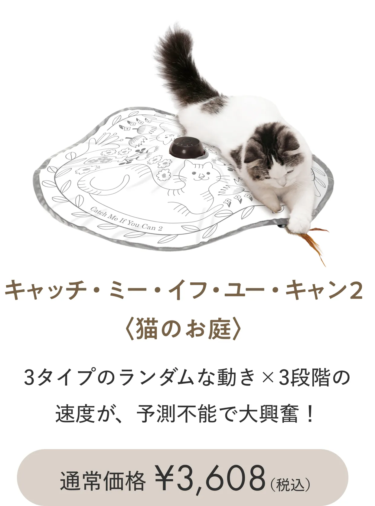 キャッチ・ミー・イフ・ユー・キャン２