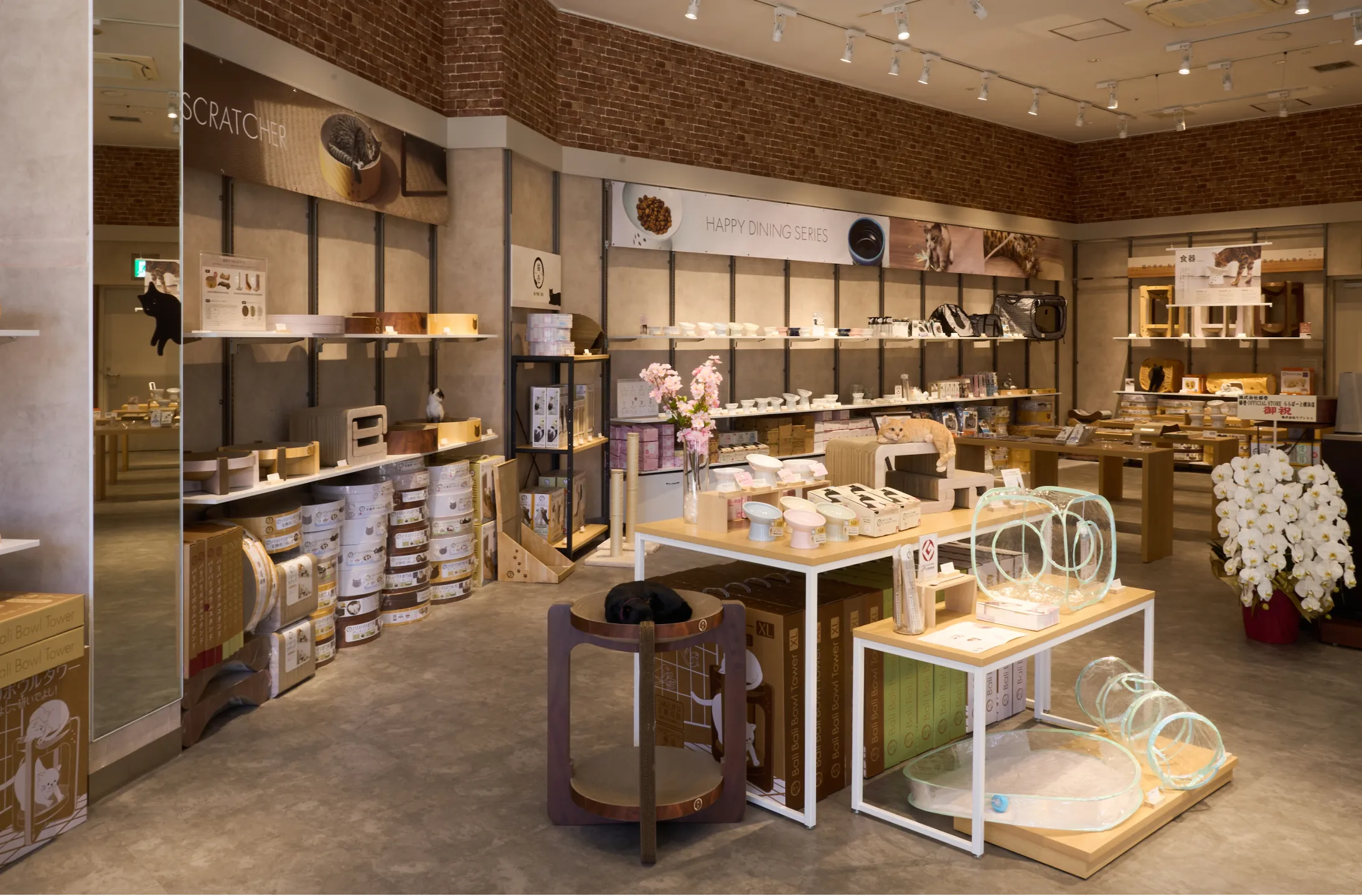 猫壱OFFICIAL STORE ららぽーと横浜店