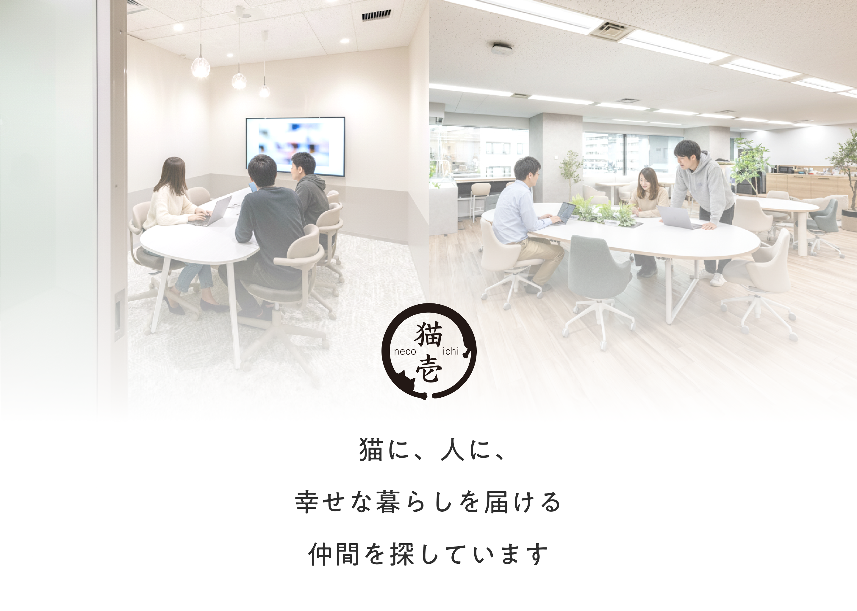 猫に、人に、幸せな暮らしを届ける仲間を探しています