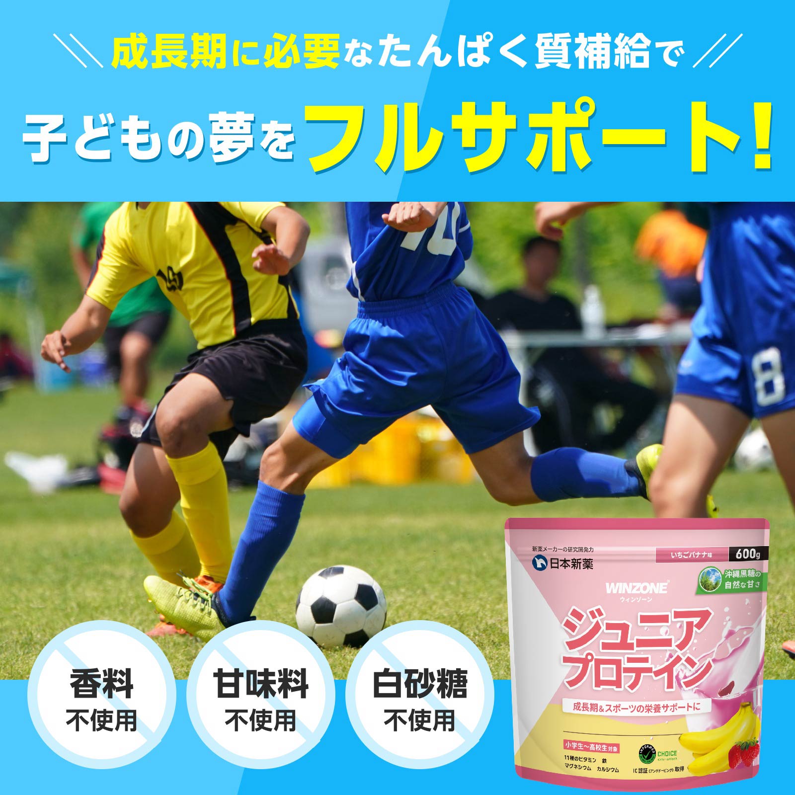 日本新薬ヘルスケア公式ショップ｜【新商品】WINZONE ジュニア