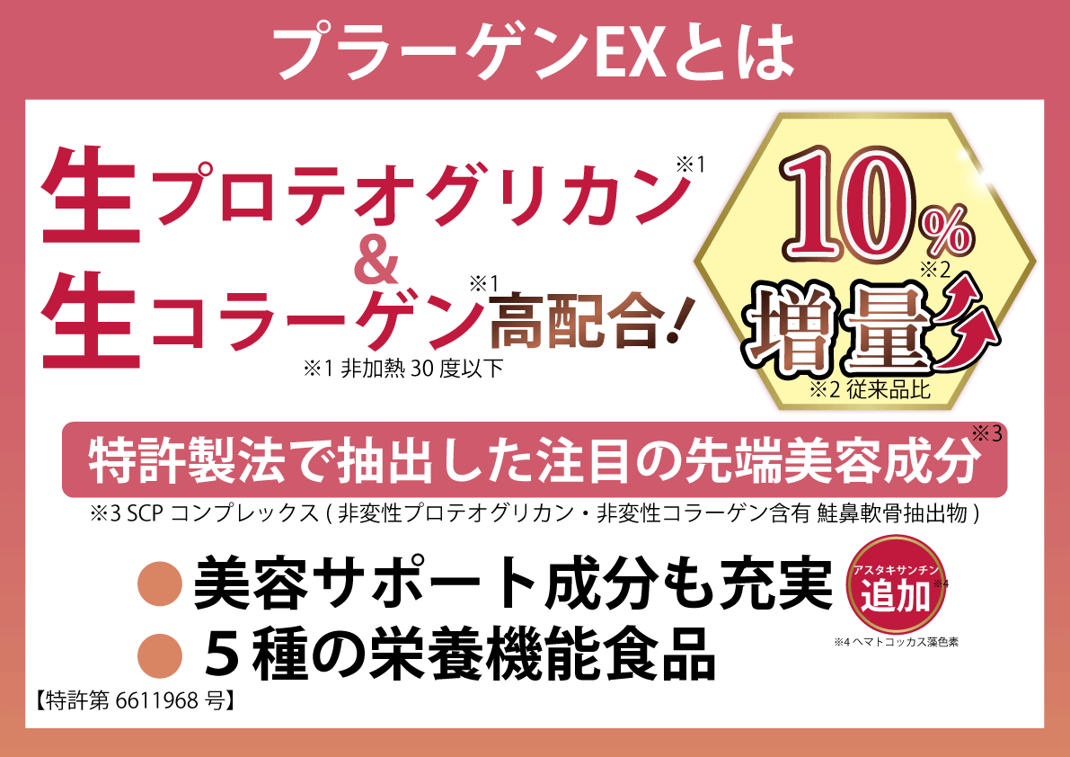 【Pragen EX/プラーゲン EX】
