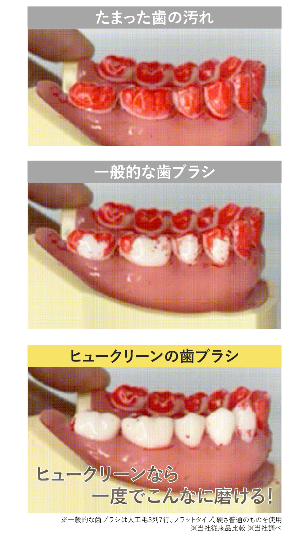 【Huclean/ヒュークリーン】歯ブラシ 20本セット