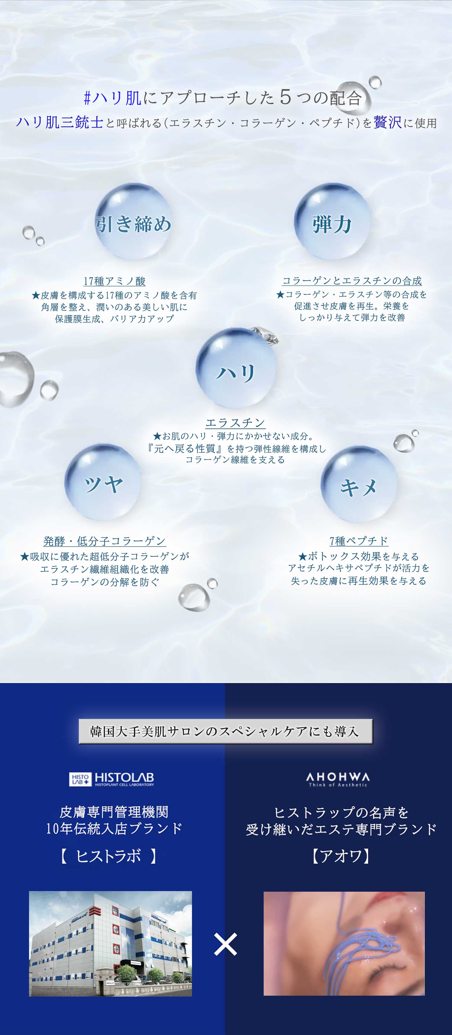 【elazulene/エラジュレン】ペプタブルークリームBIG(65g)