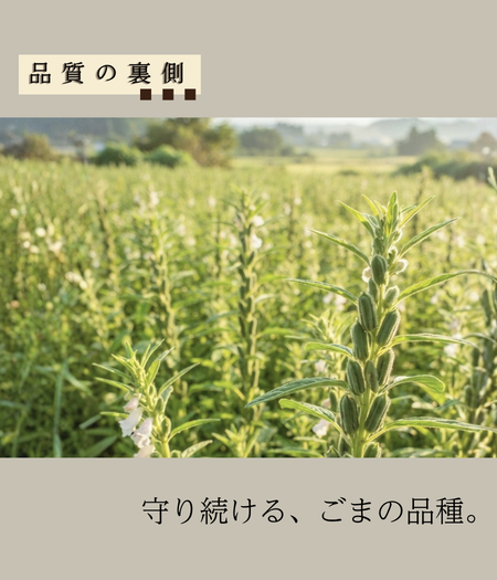 おすすめ商品