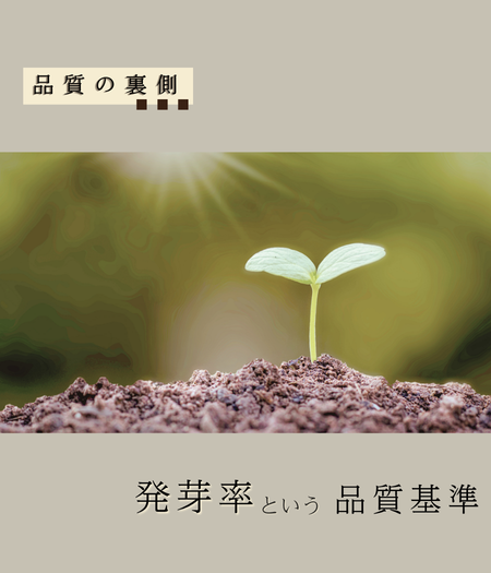 おすすめ商品