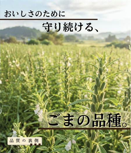 おすすめ商品