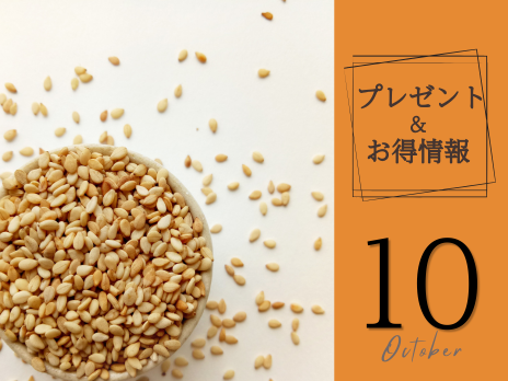 おすすめ商品