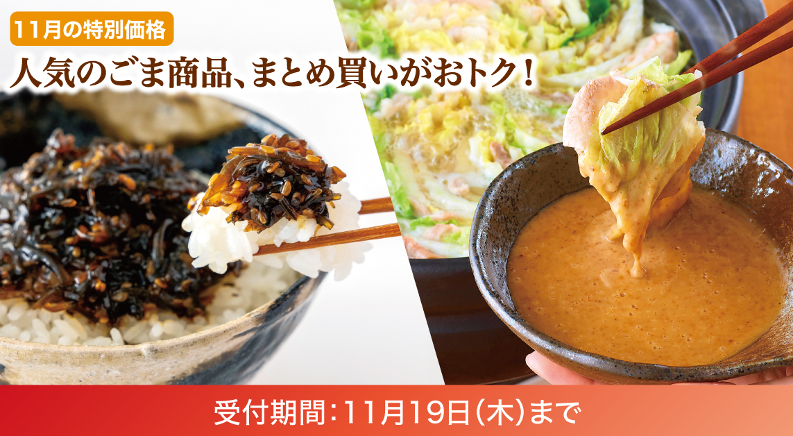 11月特別価格キャンペーン 受付期間 11/19(木)まで