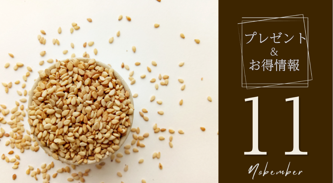プレゼント＆お得情報 11 November