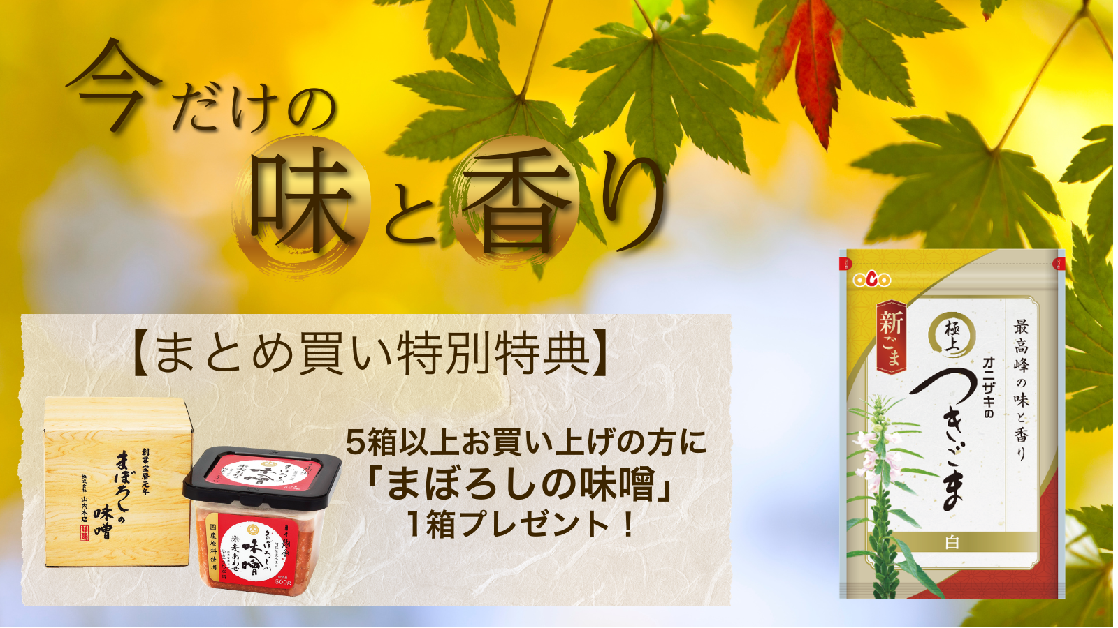 今だけの味と香り 新ごま まとめてお得 - オニザキのつきごま白