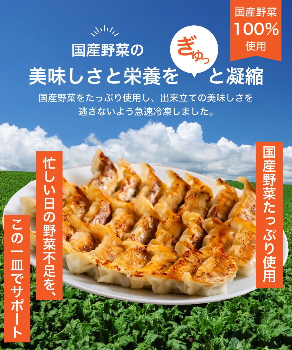 【新商品】 野菜たっぷり生餃子 24個