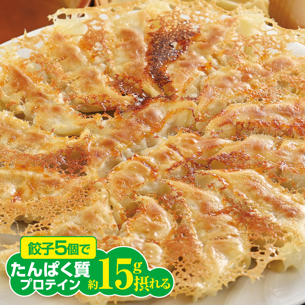 【1割引】 高たんぱく生餃子 15個　『たんぱく質45g入り』 ※4月6日よりご注文受付開始