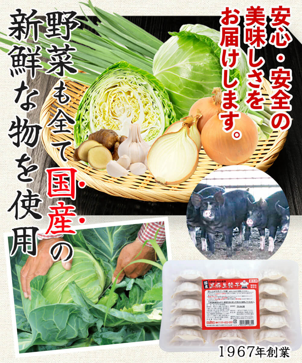 黒豚生餃子 60個(15個入×4パック) 【送料込】