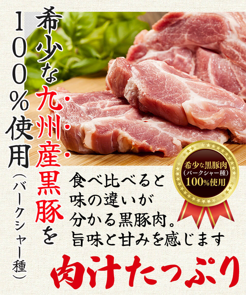 黒豚生餃子 60個(15個入×4パック) 【送料込】