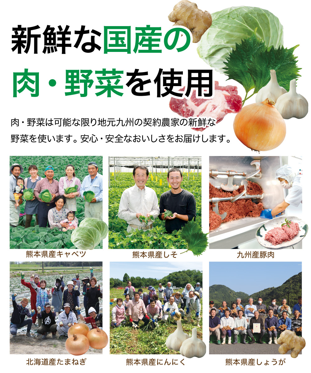 フタワのしそ餃子 50個（1個20g）
